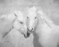 So Happy Together Fine Art Print