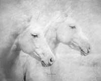 Side by Side Fine Art Print