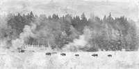 Winter Migration Fine Art Print