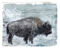 Winter Buffalo Fine Art Print