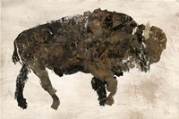 Abstract Buffalo Fine Art Print