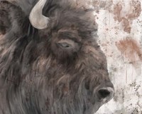 Yellowstone Buffalo Fine Art Print