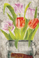 Tulips III Fine Art Print