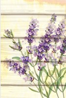 Floral Lavender I Fine Art Print