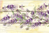 Floral Lavender III Fine Art Print