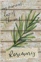 Rosemary Fine Art Print