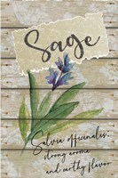 Sage Fine Art Print