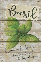 Basil Fine Art Print