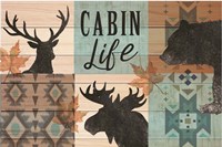 Cabin Life Fine Art Print
