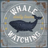 Whale Watching Framed Print