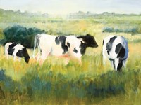 Cows are Out Fine Art Print