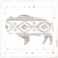 Patterned Bison Fine Art Print