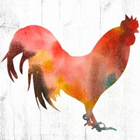 Rooster I Fine Art Print