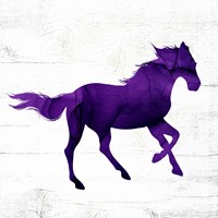 Horse II Framed Print