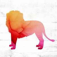 Lion Fine Art Print