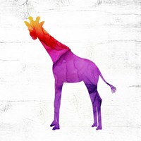 Giraffe Fine Art Print