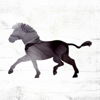 Zebra Fine Art Print