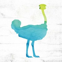 Ostrich Fine Art Print