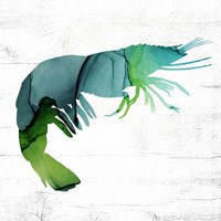 Shrimp Fine Art Print