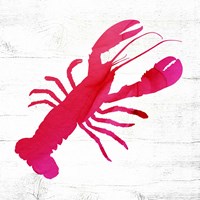 Lobster Fine Art Print
