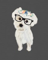 Morkie Fine Art Print