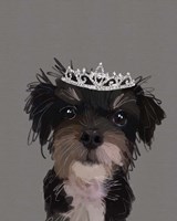 Terrier Fine Art Print