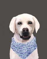 White Lab Fine Art Print
