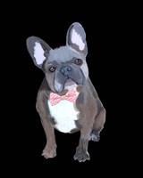 Gingham Bow Fine Art Print