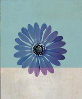 Blue Flower Fine Art Print