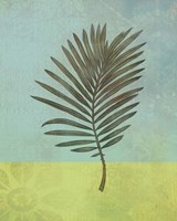 Palm Leaf Framed Print