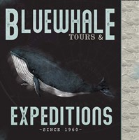 Blue Whale Tours Fine Art Print