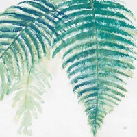 Ferns III Square Cool Fine Art Print