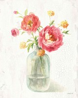 Full Bloom VIII Framed Print