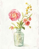 Full Bloom VII Framed Print