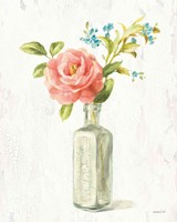 Full Bloom IX Framed Print