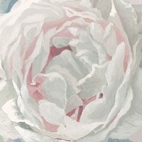 Essence of June Floral III Fine Art Print