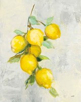 Zest I Fine Art Print