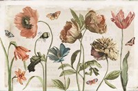 Antiquarian Blooms I Fine Art Print