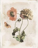 Antiquarian Blooms IV Fine Art Print