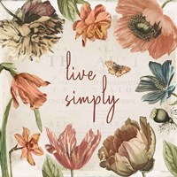 Antiquarian Blooms VII Framed Print