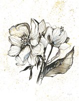 Elegance III MB Fine Art Print