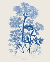 Flowering Plants VI Mid Blue Framed Print