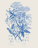Flowering Plants I Mid Blue Fine Art Print