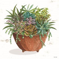 Terracotta Succulents I Framed Print