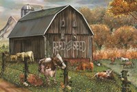 Feed and Seed Farm Fine Art Print
