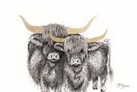 Highland Cattle Fine Art Print