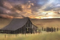 Sunshine Will Follow Fine Art Print