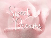 Sweet Dreams Fine Art Print
