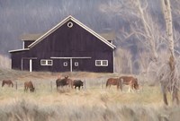 Old Navy Barn with Horses Fine Art Print