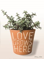 Succulent Love Grows Here Fine Art Print